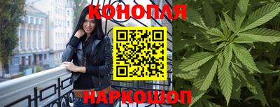 стафф Краснознаменск