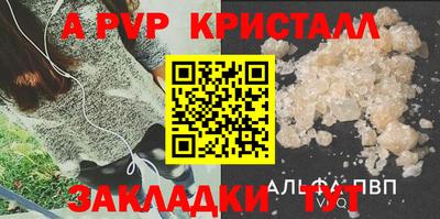 стафф Краснознаменск