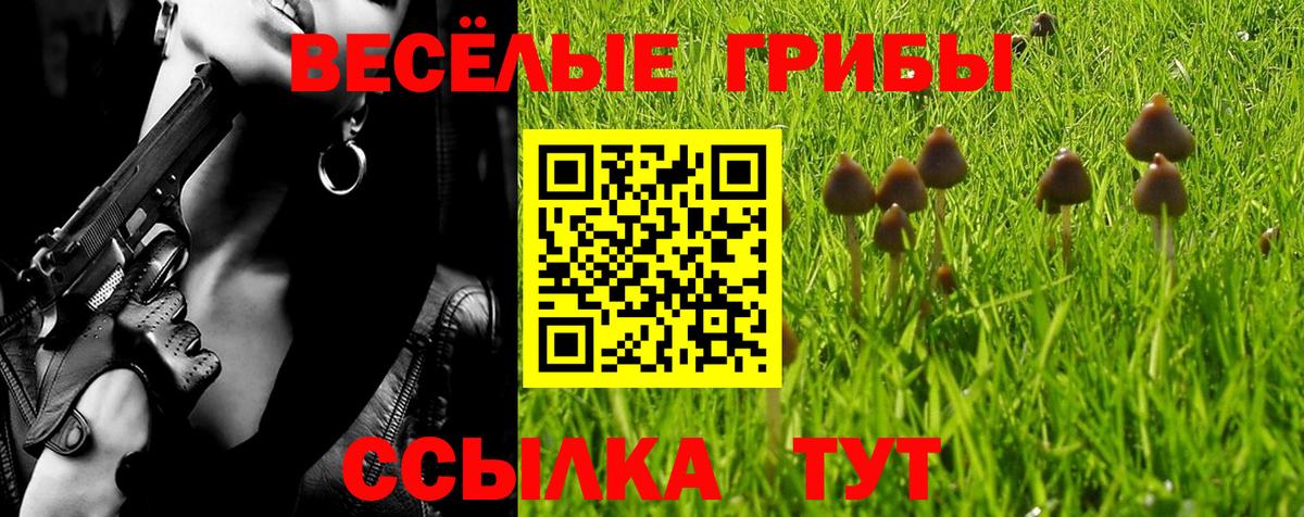 Галлюциногенные грибы мухоморы Зеленодольск