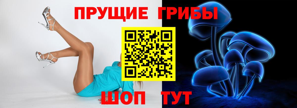 Псилоцибиновые грибы Cubensis  купить наркоту  Зеленодольск  Вход с VPN 